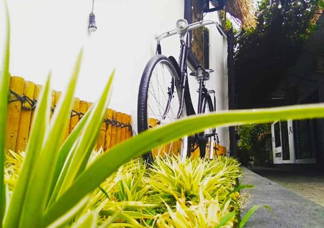 Rumah Roso Homestay Jogyakarta Zewnętrze zdjęcie